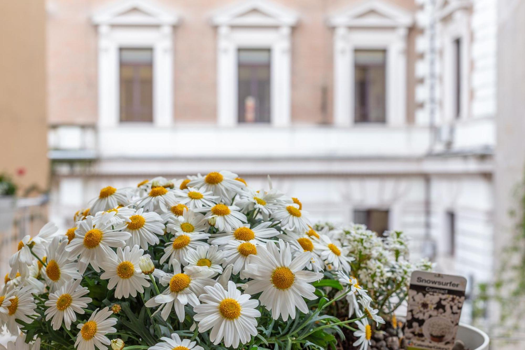 Apartment Iflat Stylish & Cozy In The Heart Of Monti